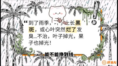 第05节：常见真菌病害&mdash;&mdash;&ldquo;炭疽与烂心，早防值千金&rdquo;《槟榔种植：从不懂到精通的10堂必修课》