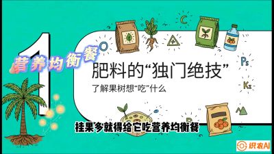 第07节：科学施肥&mdash;&mdash;&ldquo;氮磷钾配好，树壮果不倒