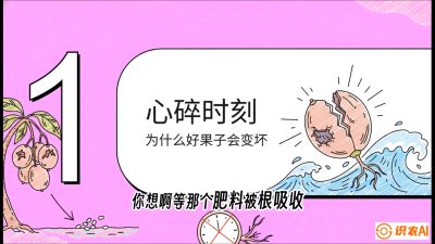 第08节：微量元素与保果&mdash;&mdash;&ldquo;补硼又补钙，果子不裂坏&rdquo;《槟榔种植：从不懂到精通的10堂必修课》