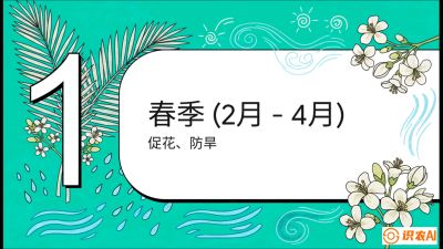 第10节：周年农事日历&mdash;&mdash;&ldquo;跟着节气走，丰产在手头&rdquo;《槟榔种植：从不懂到精通的10堂必修课》