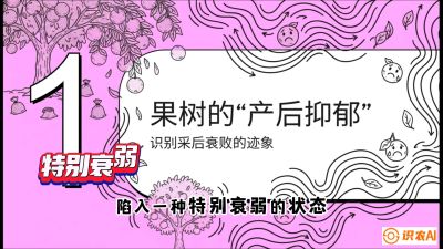 第2节：【冬肥策略】采后&ldquo;月子肥&rdquo;：大小年的精准干预术，课程：《柑橘底肥&ldquo;翻身账&rdquo;：从改土到高产的实战全书》