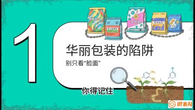 第4节：【黄金配方】底肥里的&ldquo;铁三角&rdquo;与&ldquo;微量雷区&rdquo;课程：《柑橘底肥&ldquo;翻身账&rdquo;：从改土到高产的实战全书》