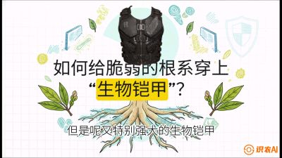 第三节：国产榴莲突围战：根系堡垒，菌根微生态构建与黄金定植窗口，课程：《国产榴莲突围战：从泰国经验到中国实操的8堂必修课（高阶实战版）》