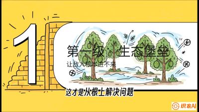 第七节：榴莲防御战：病虫害三级立体防控，疫霉菌与虫害的立体封锁线，课程：《国产榴莲突围战：从泰国经验到中国实操的8堂必修课（高阶实战版）》