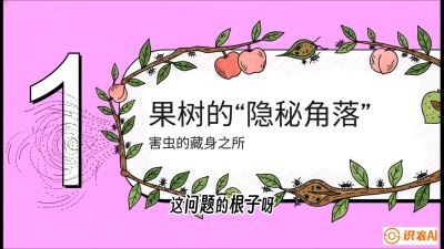 第3节：无人机专治&ldquo;打不透&rdquo;&mdash;&mdash;果树与高杆作物的穿透技巧，课程：《无人机植保搞钱必修课：从&ldquo;瞎飞&rdquo;到&ldquo;懂行&rdquo;的6步进阶》