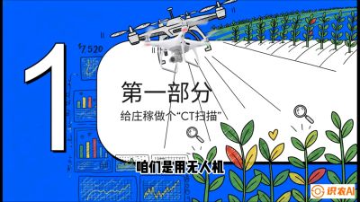 第5节：无人机也能&ldquo;看病抓药&rdquo;&mdash;&mdash;处方图与变量施肥入门，课程：《无人机植保搞钱必修课：从&ldquo;瞎飞&rdquo;到&ldquo;懂行&rdquo;的6步进阶》