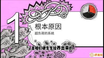 第三节：【爆款单品&middot;加州鲈】从&ldquo;玻璃鱼&rdquo;到&ldquo;摇钱树&rdquo;的通关秘籍，课程：《黄金鳞甲：2025中国淡水鱼高效养殖实战营》