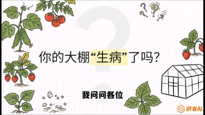 第2节（解毒篇）： 大棚里的&ldquo;红白绿&rdquo;警报&mdash;&mdash;读懂土壤盐渍化的求救信号，课程：《揭秘土壤的秘密：让土地帮你赚钱》#识农AI