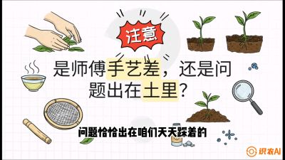 第02节（土肥篇）：告别&ldquo;苦涩水味&rdquo;：揭秘&ldquo;碳氮比&rdquo;调控术，种出自带兰花香的好茶底，课程：《茶金时代：从&ldquo;看天吃饭&rdquo;到&ldquo;精准控局&rdquo;的茶叶高产提质实战课》