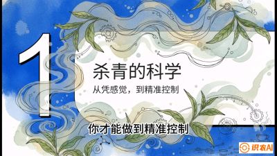 第05节（加工篇）：决胜2分钟：用&ldquo;数字温控&rdquo;破解杀青不匀，复刻大师级手工口感，课程：《茶金时代：从&ldquo;看天吃饭&rdquo;到&ldquo;精准控局&rdquo;的茶叶高产提质实战课》