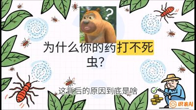 第4节：【虫害歼灭战】打不死的蓟马、隐形的茶黄螨：抗性时代的&ldquo;混配绝杀&rdquo;，课程：《辣椒种植实战特训营，从工业辣椒到精品小米辣，教你如何把&ldquo;草&rdquo;种成&ldquo;金&rdquo;》