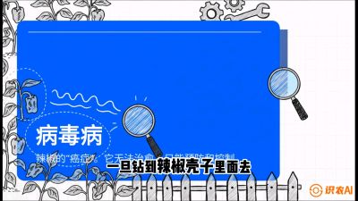 第5节：【病毒病阻击】辣椒的&ldquo;癌症&rdquo;怎么治？从&ldquo;绝收恐慌&rdquo;到&ldquo;带毒生产&rdquo;的逆转术，课程：《辣椒种植实战特训营，从工业辣椒到精品小米辣，教你如何把&ldquo;草&rdquo;种成&ldquo;金&rdquo;》