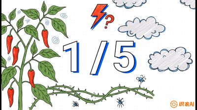 第6节：【花果爆发术】落花落果的五大元凶，与&ldquo;三喷一保&rdquo;坐果黑科技，课程：《辣椒种植实战特训营，从工业辣椒到精品小米辣，教你如何把&ldquo;草&rdquo;种成&ldquo;金&rdquo;》