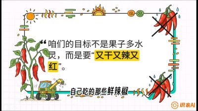 第7节：【工业辣椒专场】追求极致辣度！干物质提升与机械化采收的&ldquo;催红秘籍&rdquo;，课程：《辣椒种植实战特训营，从工业辣椒到精品小米辣，教你如何把&ldquo;草&rdquo;种成&ldquo;金&rdquo;》