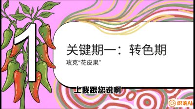 第8节：【小米辣线椒专场】颜值即正义！防花皮、防炭疽，打造收购商抢着要的&ldquo;精品果&rdquo;，课程：《辣椒种植实战特训营，从工业辣椒到精品小米辣，教你如何把&ldquo;草&rdquo;种成&ldquo;金&rdquo;》