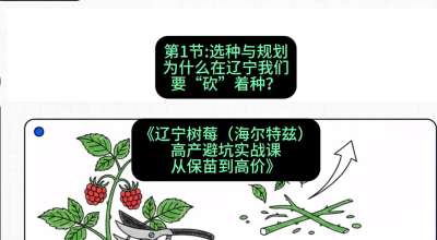第一节： 选种与规划&mdash;&mdash;为什么在辽宁我们要&ldquo;砍&rdquo;着种？，课程：《辽宁树莓（海尔特兹）高产避坑实战课：从保苗到高价》