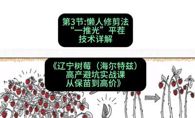 第三节： 懒人修剪法&mdash;&mdash;&ldquo;一推光&rdquo;平茬技术详解，课程：《辽宁树莓（海尔特兹）高产避坑实战课：从保苗到高价》