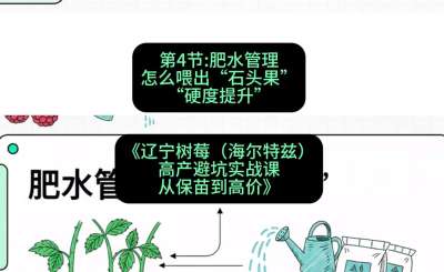 第四节： 肥水管理&mdash;&mdash;怎么喂出&ldquo;石头果&rdquo;（硬度提升），课程：《辽宁树莓（海尔特兹）高产避坑实战课：从保苗到高价》