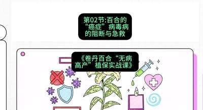 第02节：百合的&ldquo;癌症&rdquo;&mdash;&mdash;病毒病的阻断与急救，课程：《卷丹百合&ldquo;无病高产&rdquo;植保实战课》#识农AI