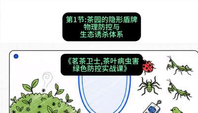 第01节：茶园的&ldquo;隐形盾牌&rdquo;&mdash;&mdash;物理防控与生态诱杀体系，课程：《茗茶卫士&mdash;&mdash;茶叶病虫害绿色防控实战课》#识农AI