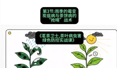 第03节：雨季的霉变&mdash;&mdash;炭疽病与茶饼病的&ldquo;抢晴&rdquo;战术，课程：《茗茶卫士&mdash;&mdash;茶叶病虫害绿色防控实战课》#识农AI