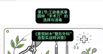第01节：工欲善其事&mdash;&mdash;园林&ldquo;手术刀&rdquo;的选择与消毒，课程：《景观树木&ldquo;整形外科&rdquo;造型实战特训营》#识农AI