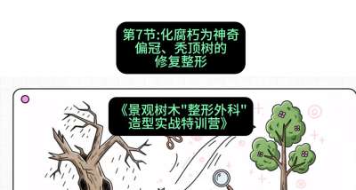 第07节：化腐朽为神奇&mdash;&mdash;偏冠、秃顶树的修复整形，课程：《景观树木&ldquo;整形外科&rdquo;造型实战特训营》#识农AI