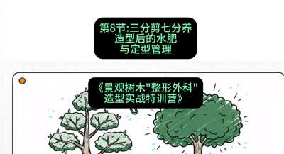 第08节：三分剪七分养&mdash;&mdash;造型后的水肥与定型管理，课程：《景观树木&ldquo;整形外科&rdquo;造型实战特训营》#识农AI